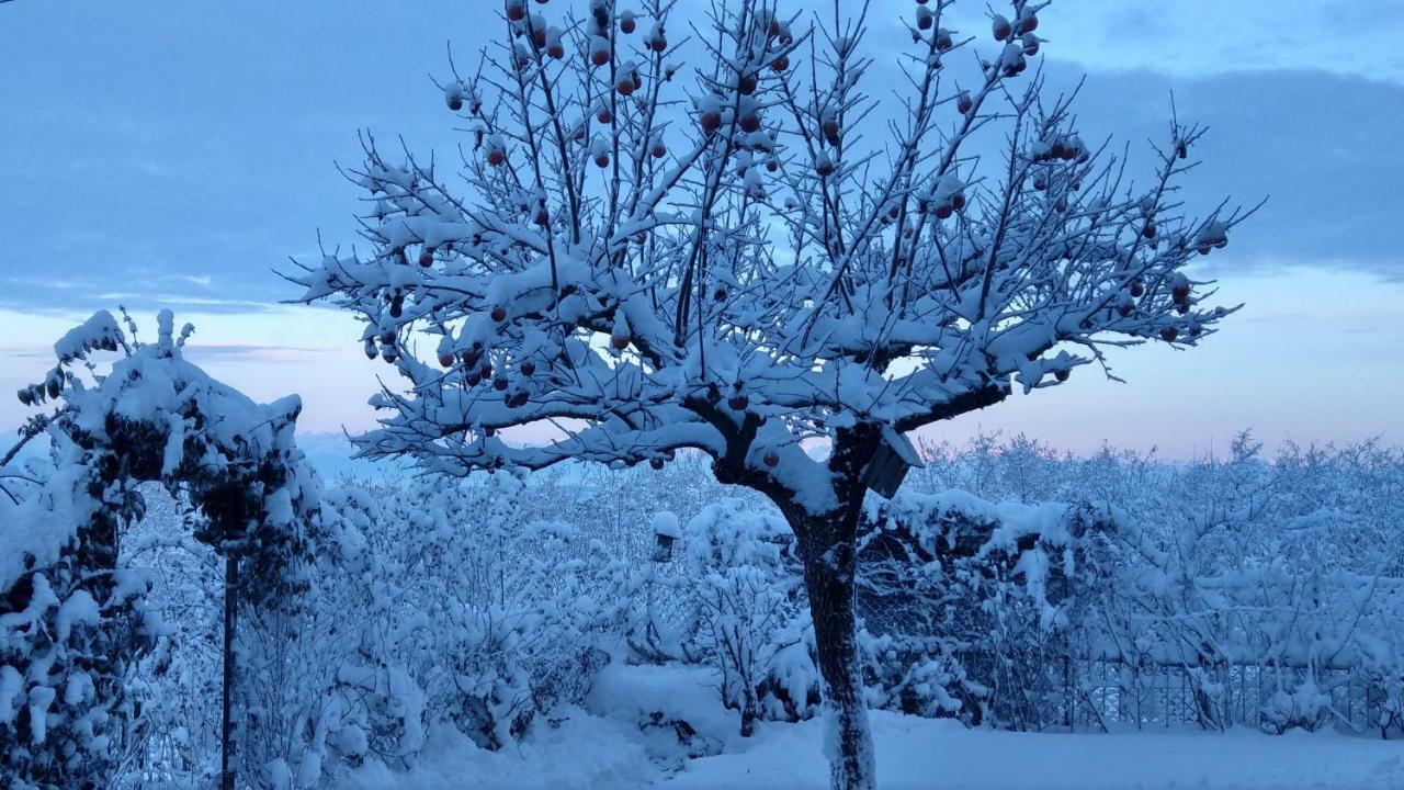 Casa Fornace 28 Villa La Morra Dış mekan fotoğraf